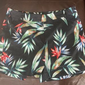 Zach and Rachel Size 14 Shorts